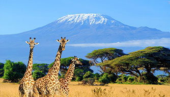 Kenya