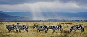 Tanzania