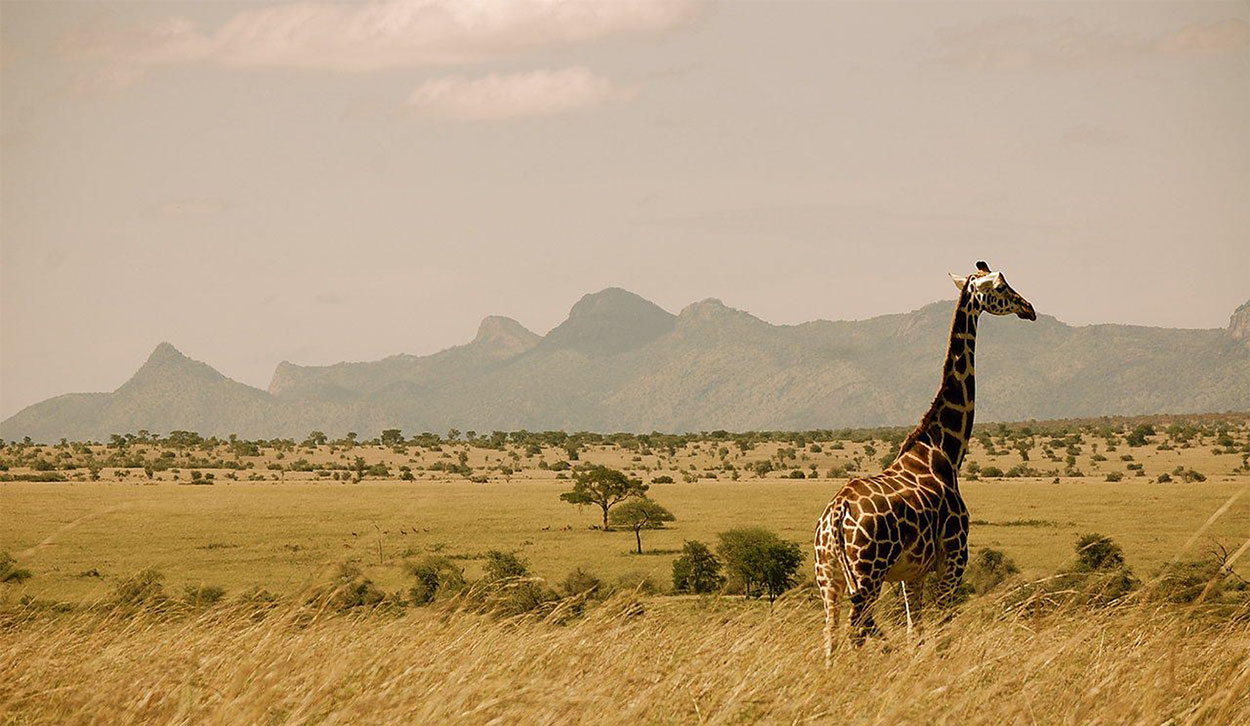 Uganda